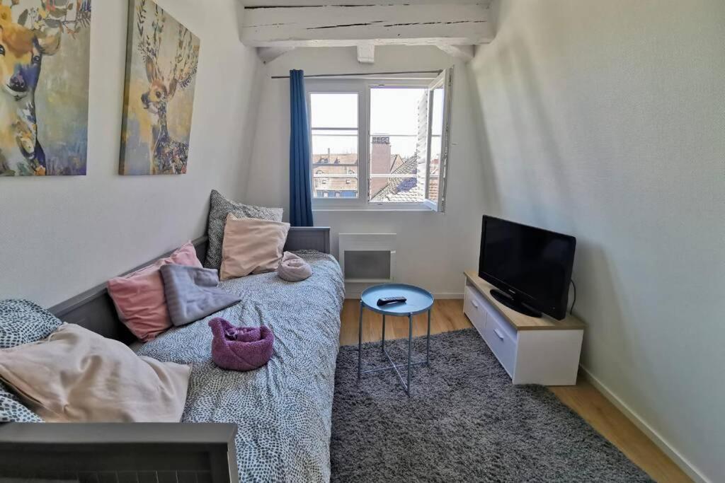 ** Appartement Cathedrale Strasbourg Centre** Bagian luar foto